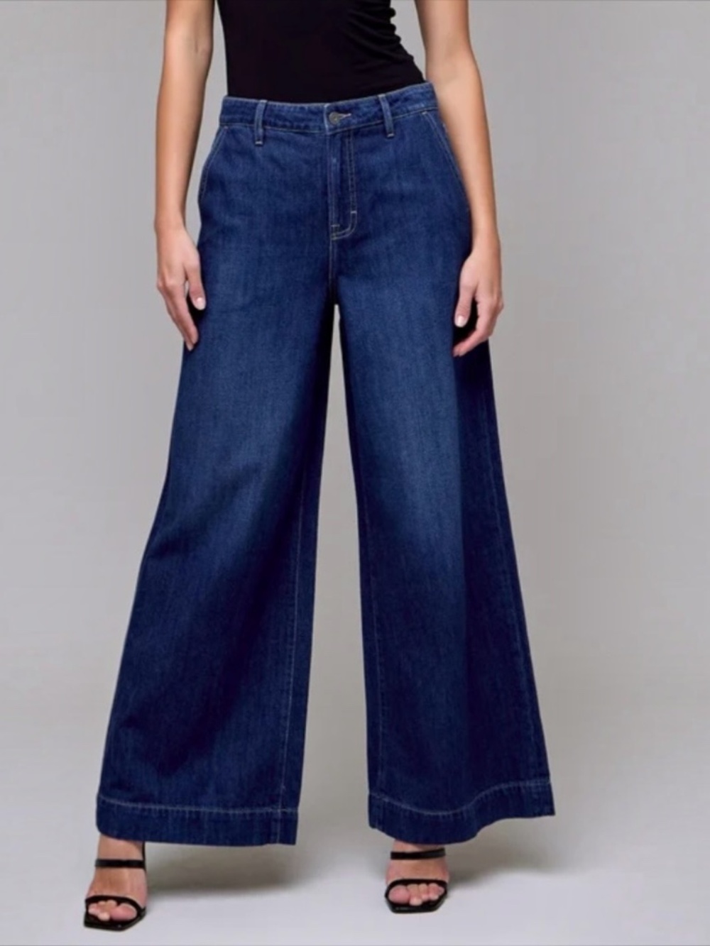 Hidden Jeans Nori Dark Wash High Rise Super Wide Leg